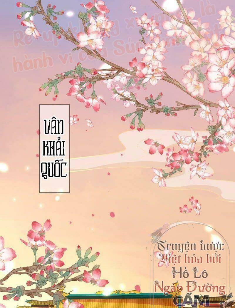 quận chúa vững vàng, thiết lập nhân vật không thể vỡ chapter 1 4