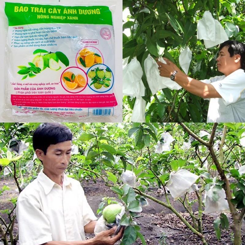 100 TÚI BỌC TRÁI CÂY SIZE 18X18 CHUYÊN DÙNG CHO ỔI, DƯA LÊ, CAM, XOÀI,.... SIÊU SALE