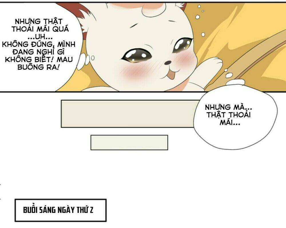 sổ tay nuôi dưỡng thần tượng, lên đường thôi! chapter 3 12