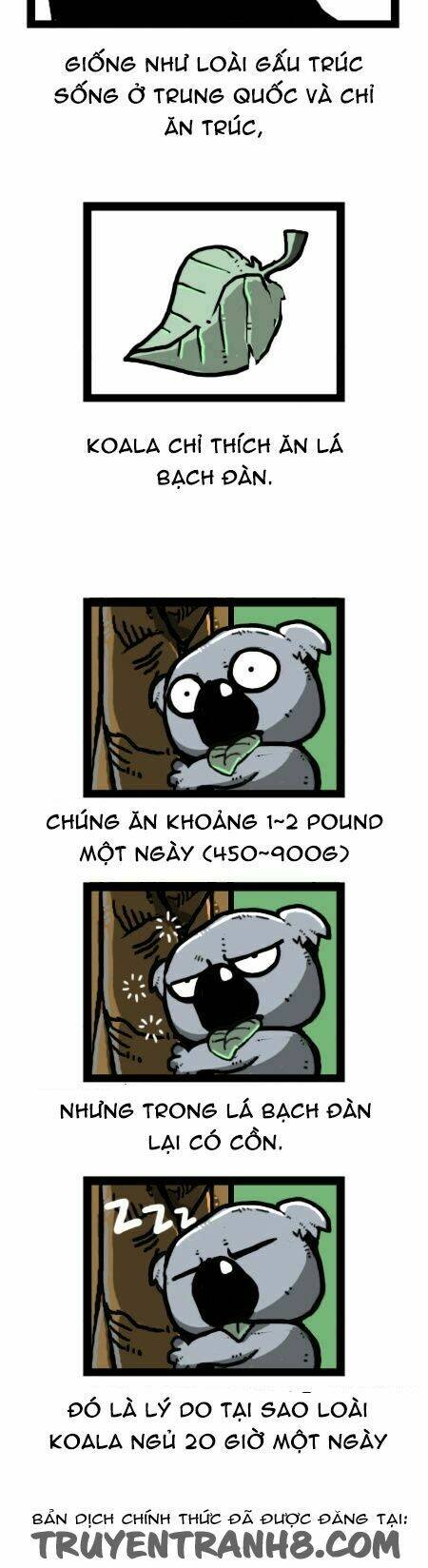 earth, human, and animal chapter 25 19