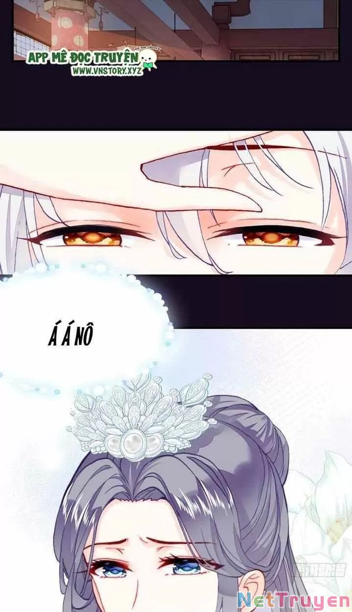 lại bị bệnh chiều chuộng quấn lấy chapter 15 25