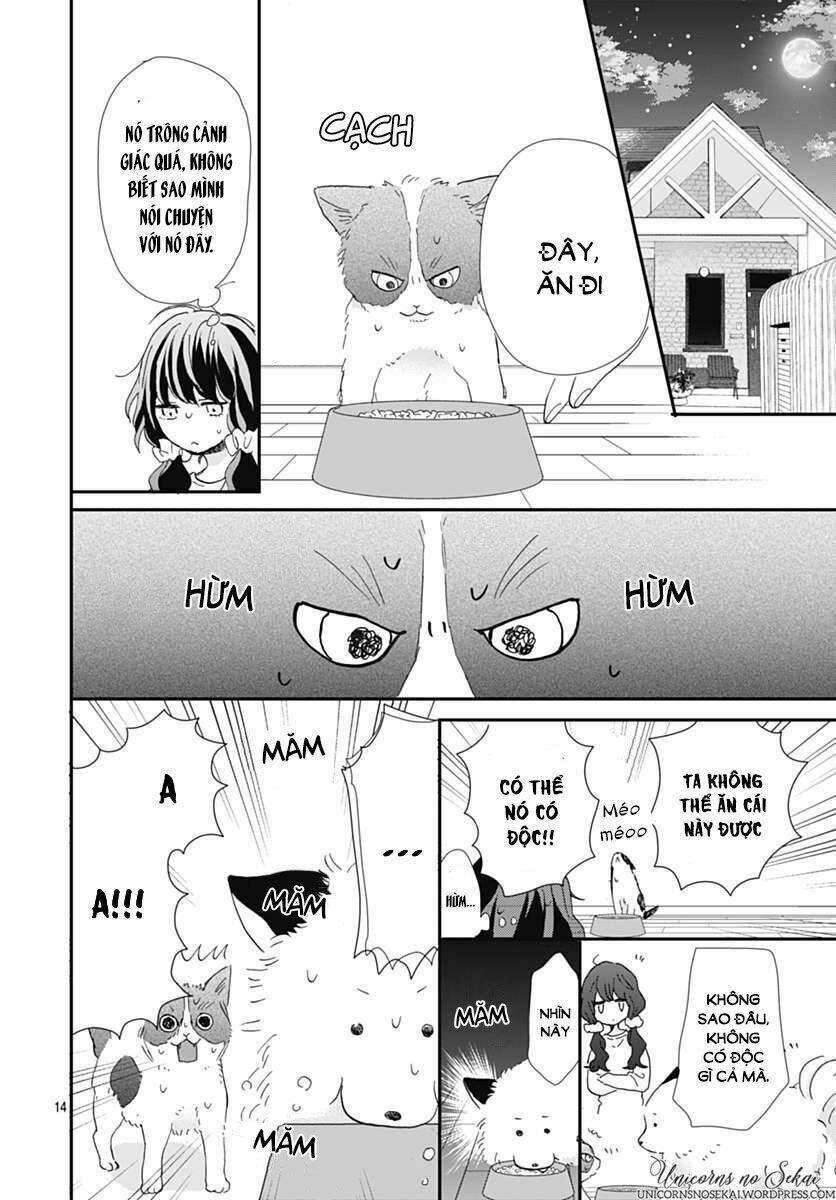 kimi to wonderland chapter 5 16