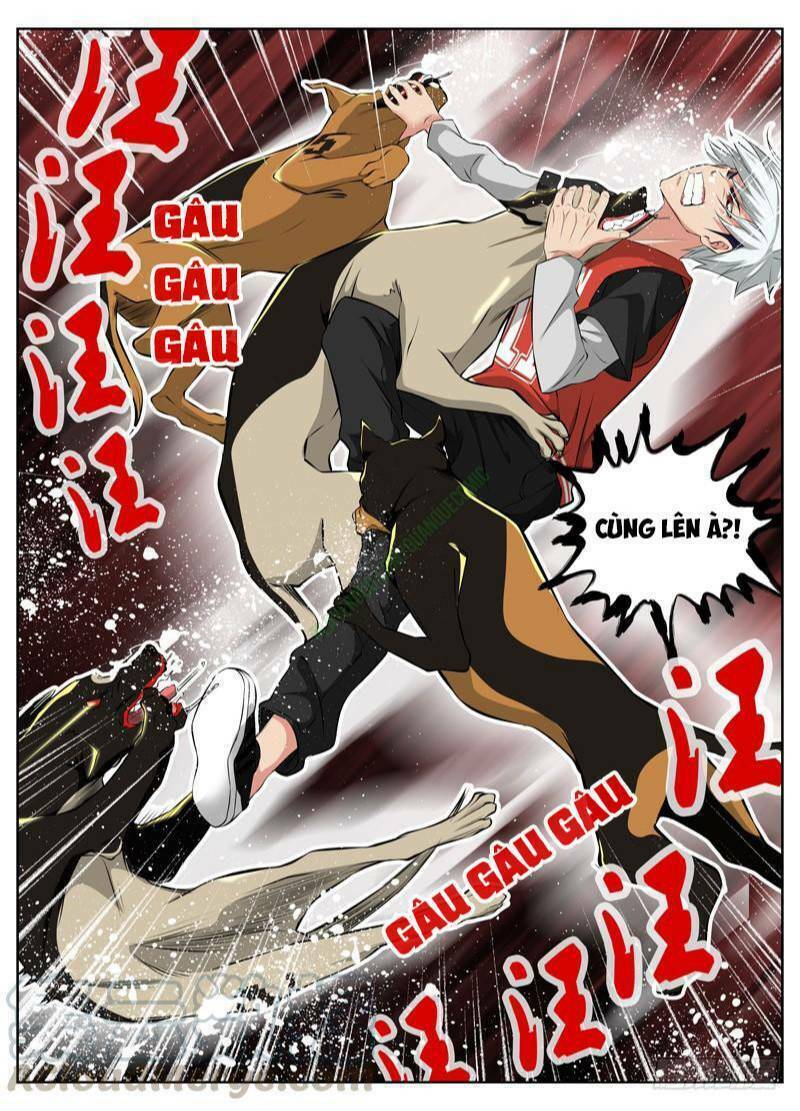 sát thủ bạch linh chapter 57 11