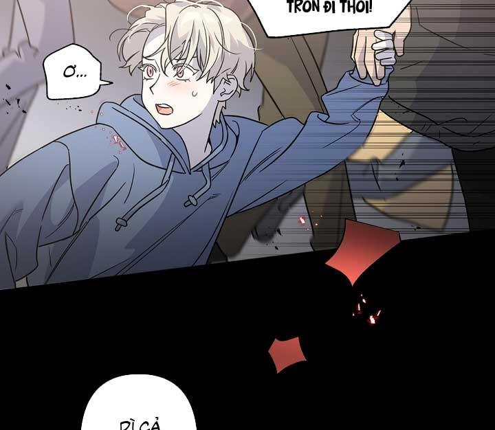 xin hãy chống lưng cho tôi chapter 1 5