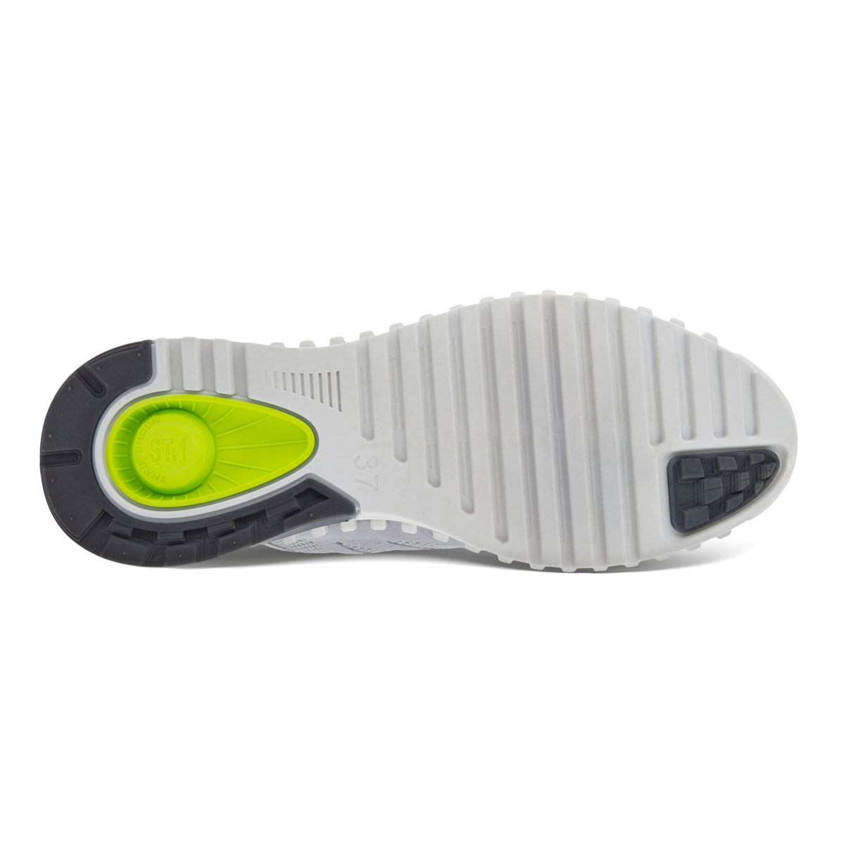 GIÀY SNEAKER THỂ THAO ECCO NỮ ZIPFLEX W 80378358295