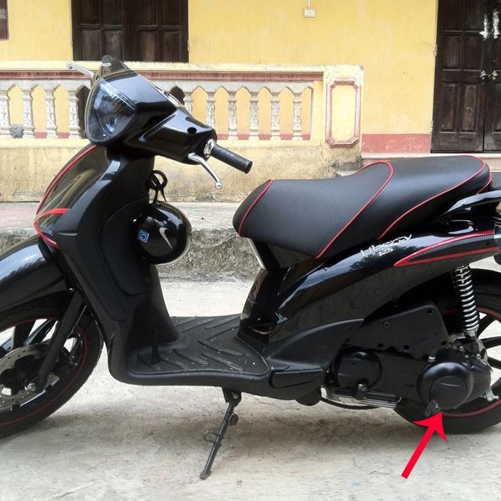 Ốp côn bằng nhựa dành cho xe Piaggio-Liberty - A307