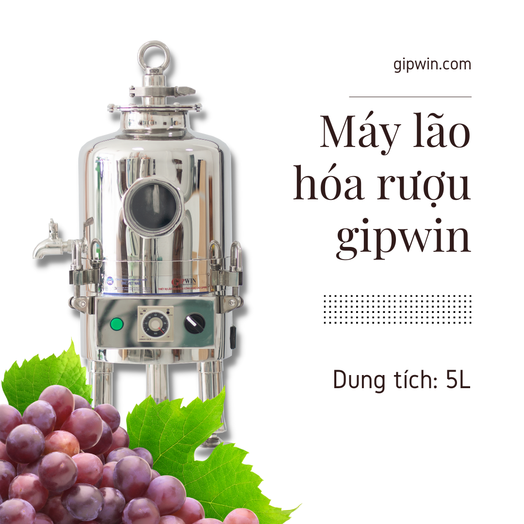 Máy lão hóa rượu và khử độc rượu GIPWIN 5L - Hàng chính hãng