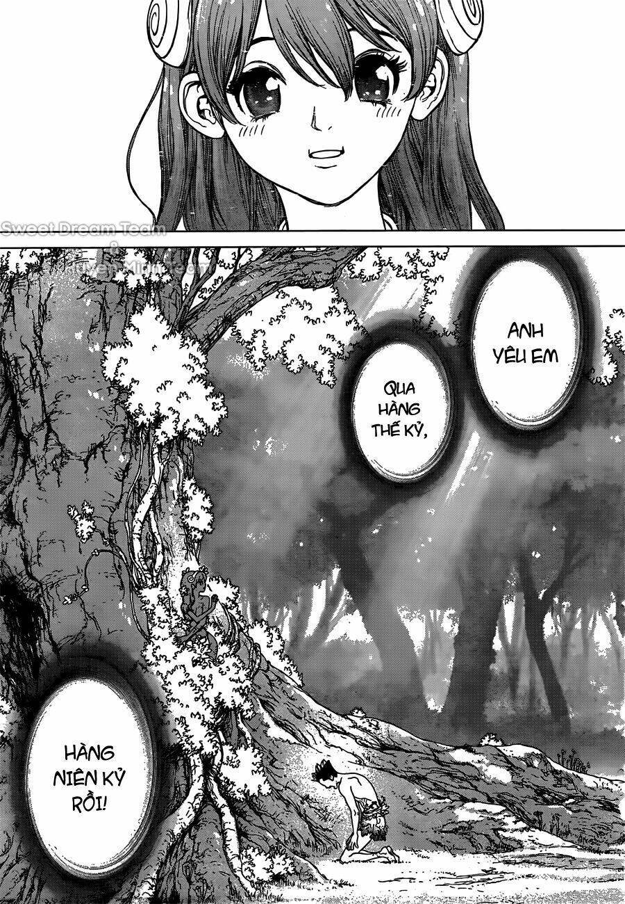 dr.stone - hồi sinh thế giới chapter 1 38