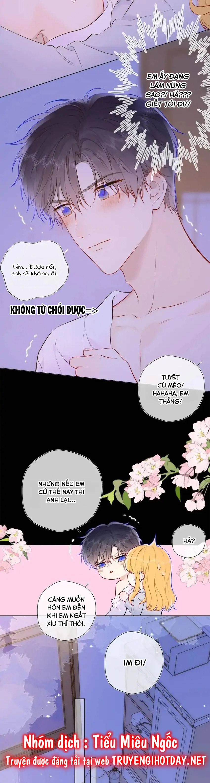 Vì Sao Của Tôi chapter 138 - Trang 13