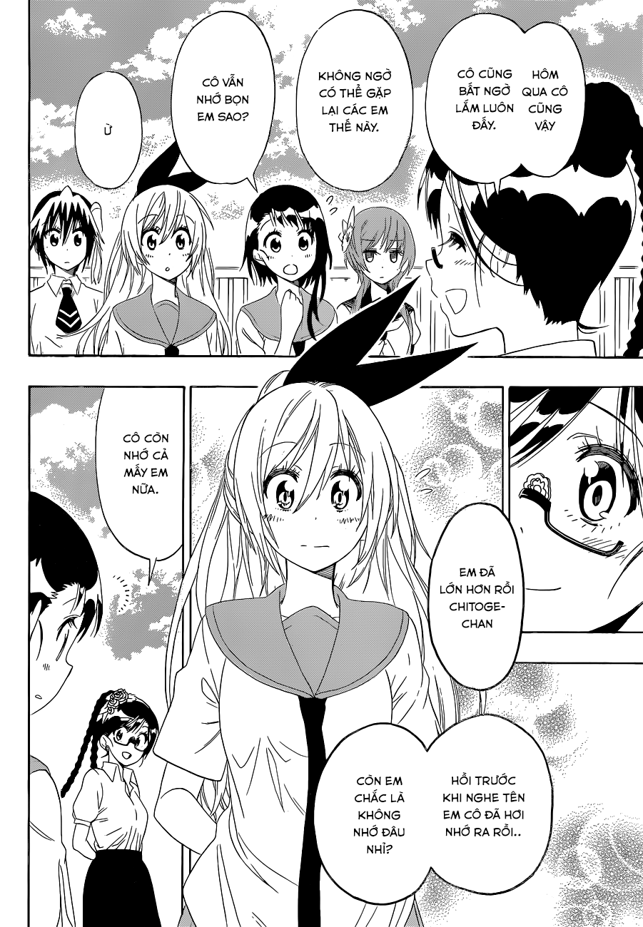 nisekoi - tình yêu giả tạo chapter 120 9
