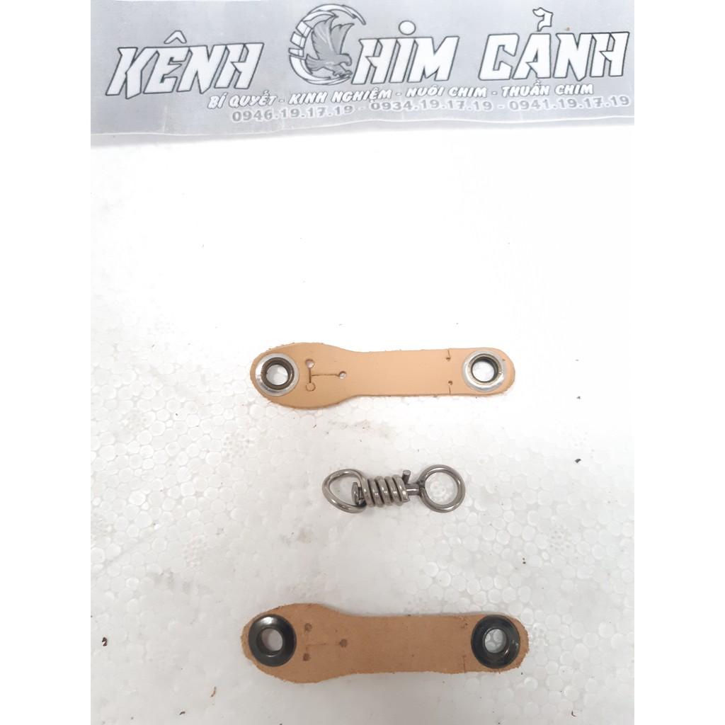 Dây chân chim ưng ấn, chim blackite