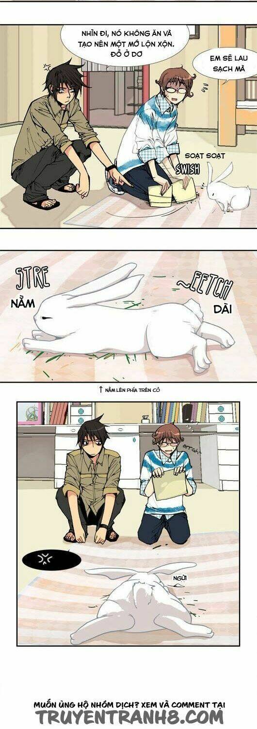 pet diary chapter 25 5