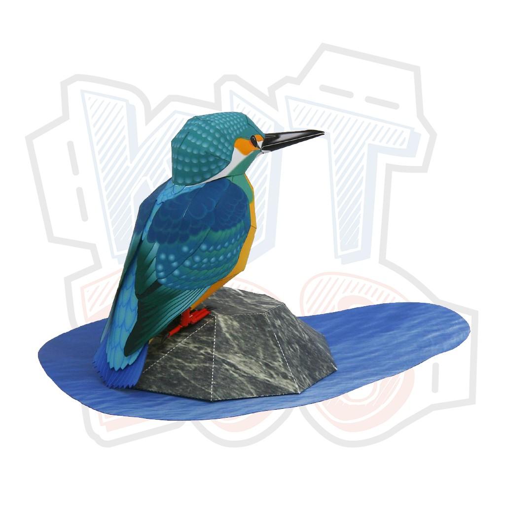 Mô hình giấy động vật chim Bồng Canh Common Kingfisher
