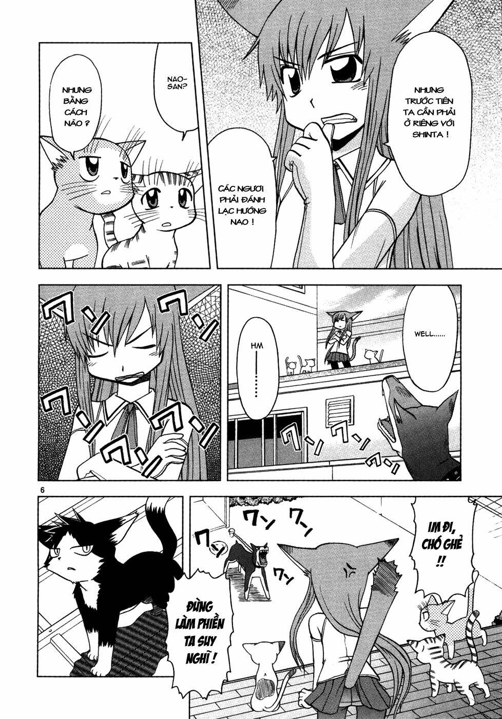 koi neko chapter 13 7