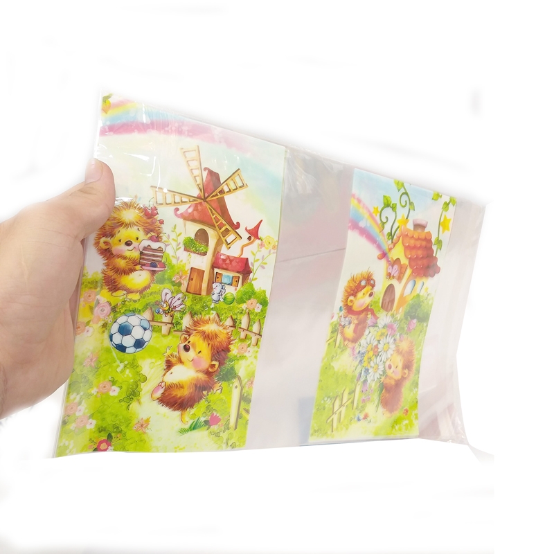 Bao Tập Nhựa - 5 Cái/ Xấp (Mẫu Màu Giao Ngẫu Nhiên)