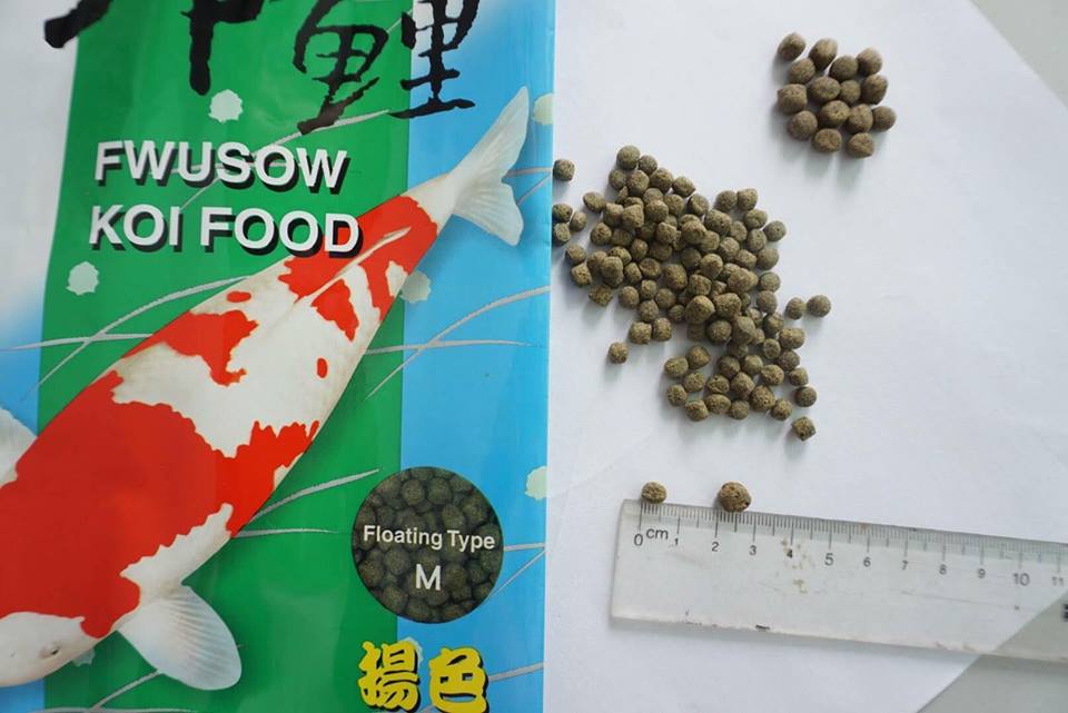 THỨC ĂN FWUSOKOI Thức ăn tăng màu