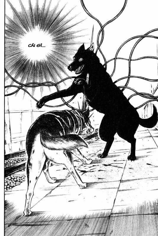 inugami chapter 7 23
