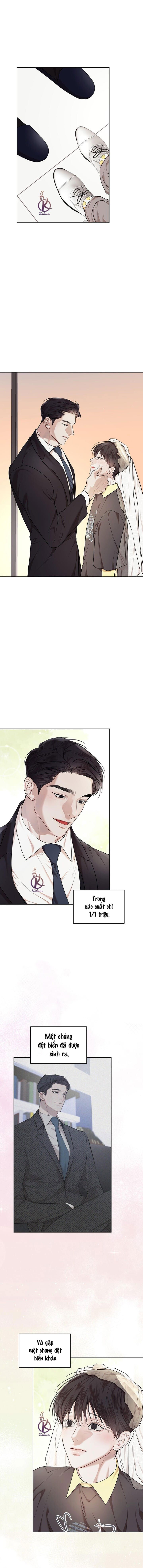 hình thái khởi sinh chapter 80 10