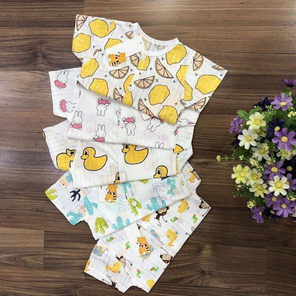 Set 5 bộ cotton giấy thông hơi cho bé mặc mùa hè từ 0-14 tháng - MS18