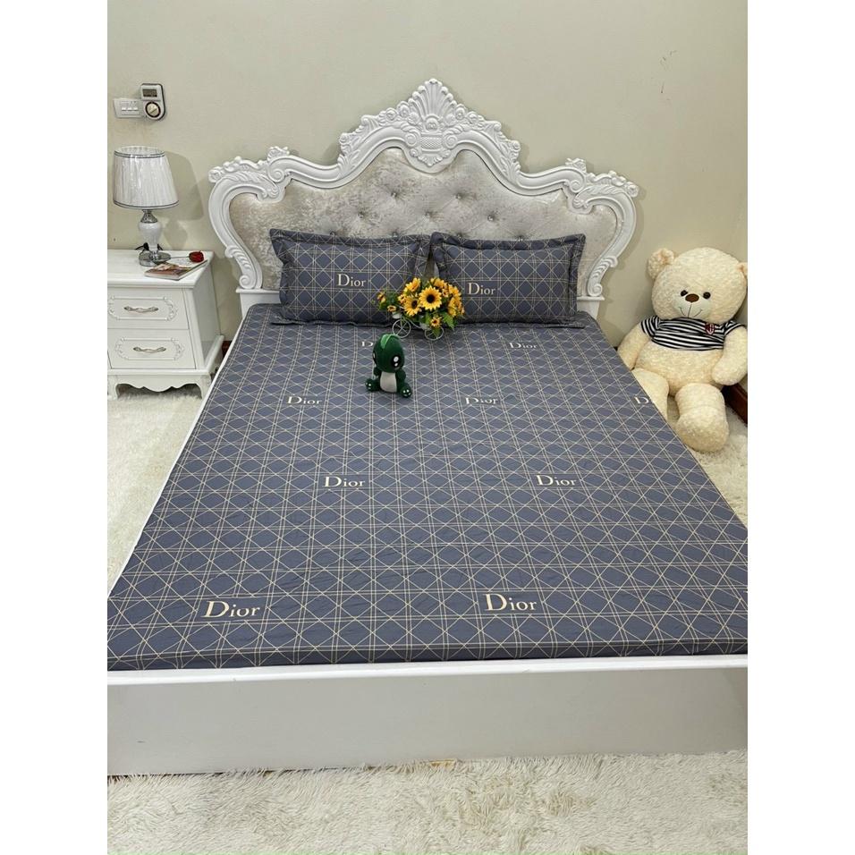 Bộ ga chun trơn và 2 vỏ gối 100% cotton hàn các kích thước