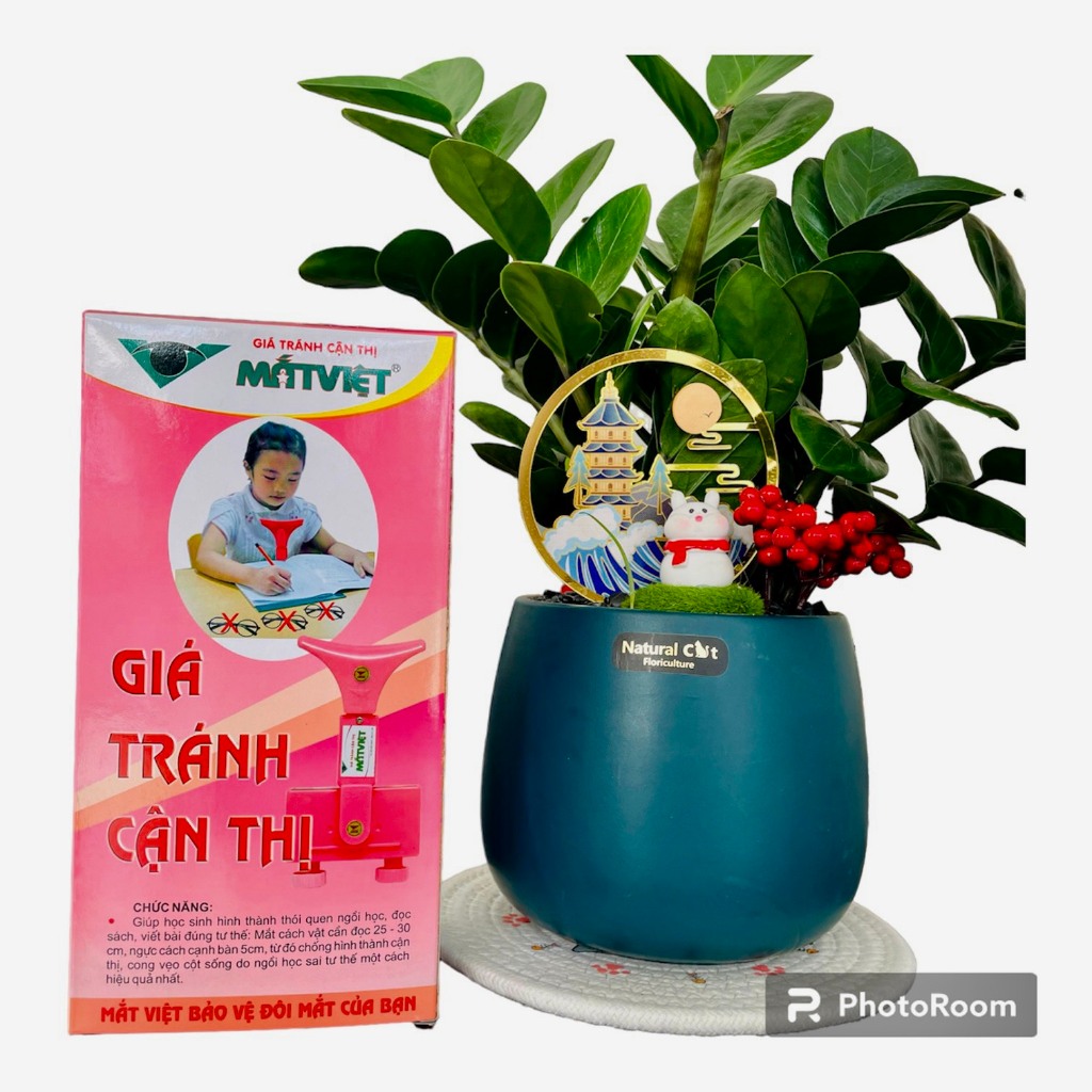 Giá tránh cận thị Mắt Việt bảo vệ đôi mắt của bé, chống cong vẹo cột sống giúp bé định hình tư thế ngồi học E5+/ E10+