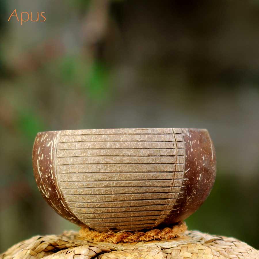 Tô/Chén/Bát gáo dừa hoa văn Apus