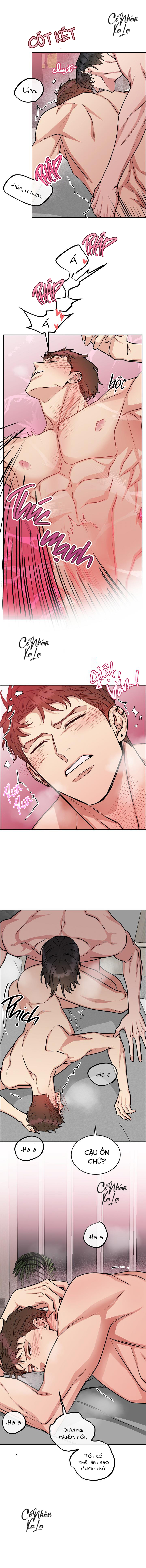 bird and dog chapter 9 6