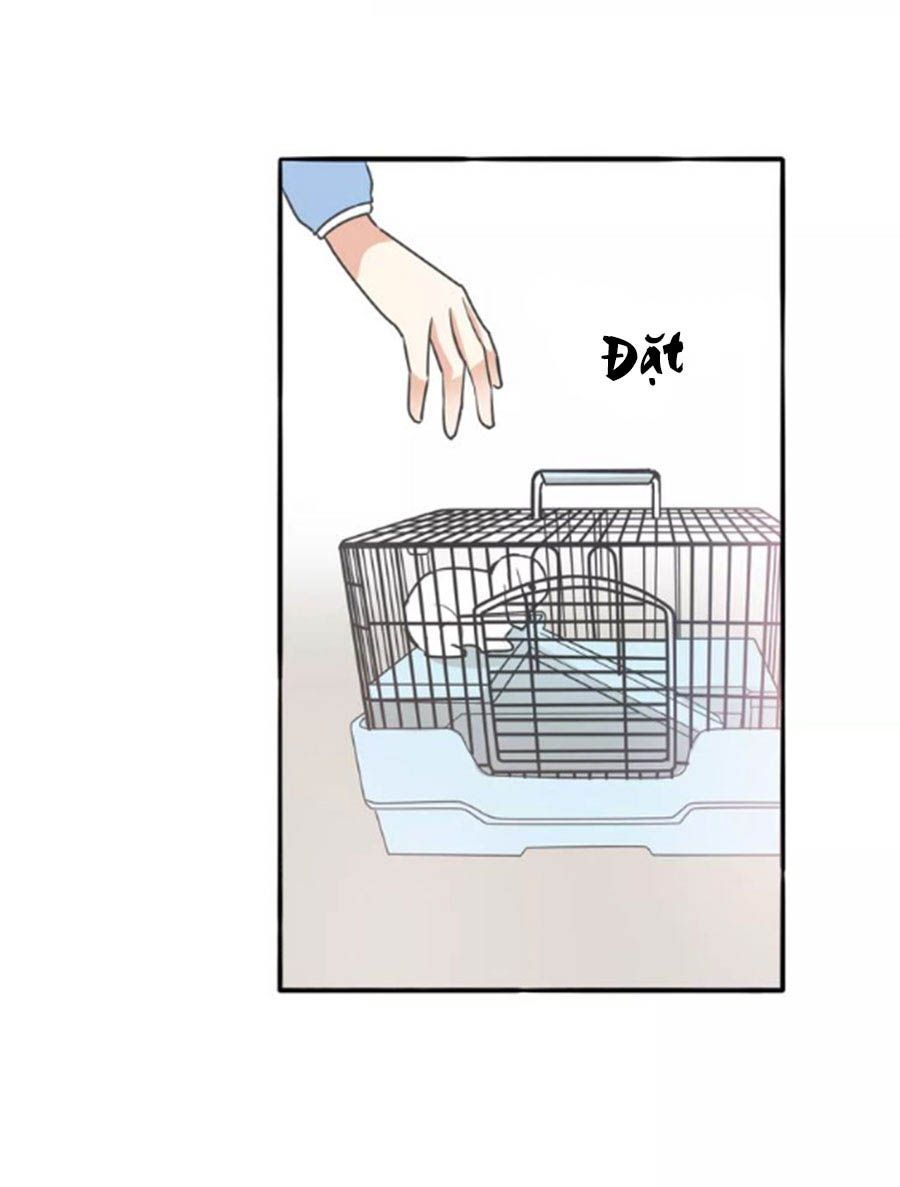 mùi hương lãng mạn chapter 38 10