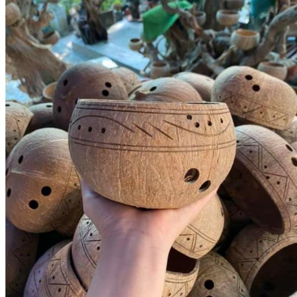 Chậu gáo dừa trồng đẹp bộ 10