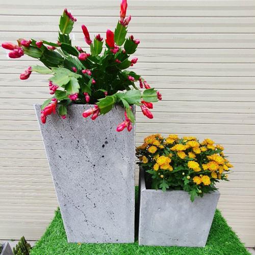 Bộ 2 Chậu Trồng Cây Cảnh Bằng Đá Ong Xám R20xC40cm, 20x20cm