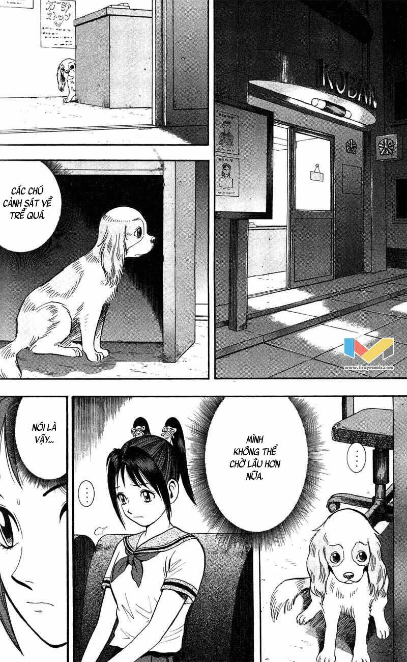 animal sense chapter 7 17