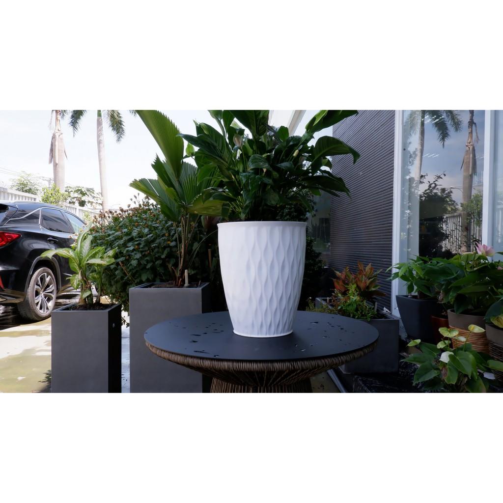 Chậu Nhựa Trồng Cây Mắt Lưới Tròn Giả Sứ Cao Cấp Trồng Cây Cảnh, Hoa Kiểng, Cây Văn Phòng - Hàng VNXK
