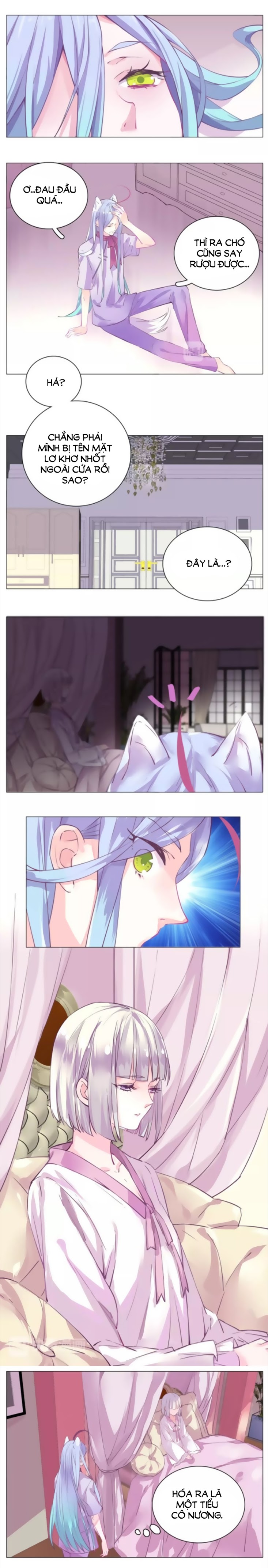 đừng nghịch, ta chỉ muốn yên tĩnh chapter 33 7