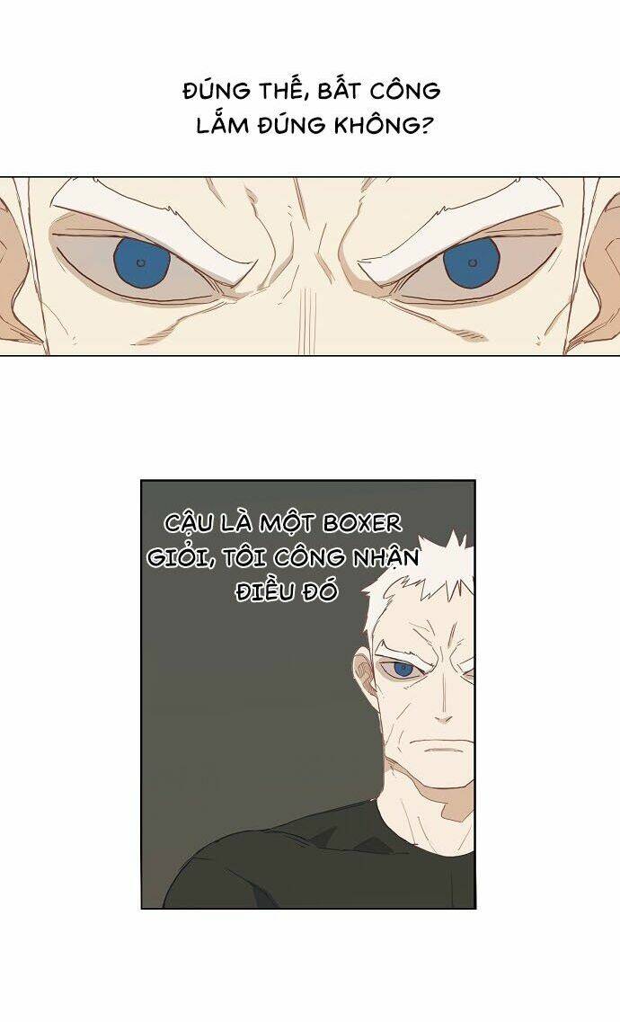 võ sĩ - the boxer chapter 13 12