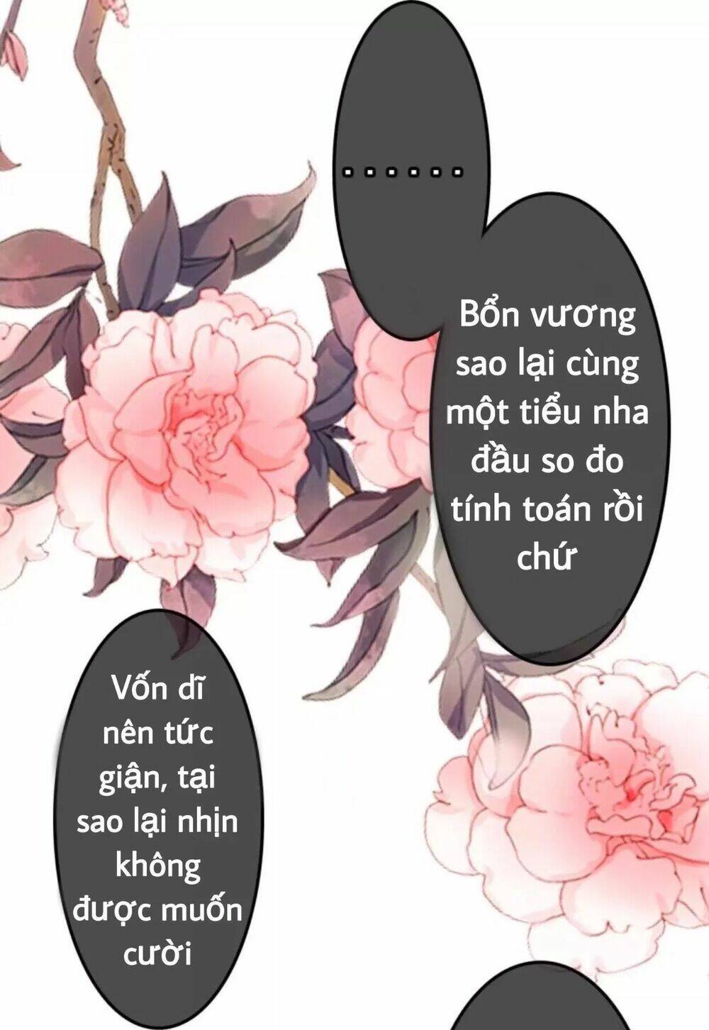 sủng phi của vương chapter 56 28