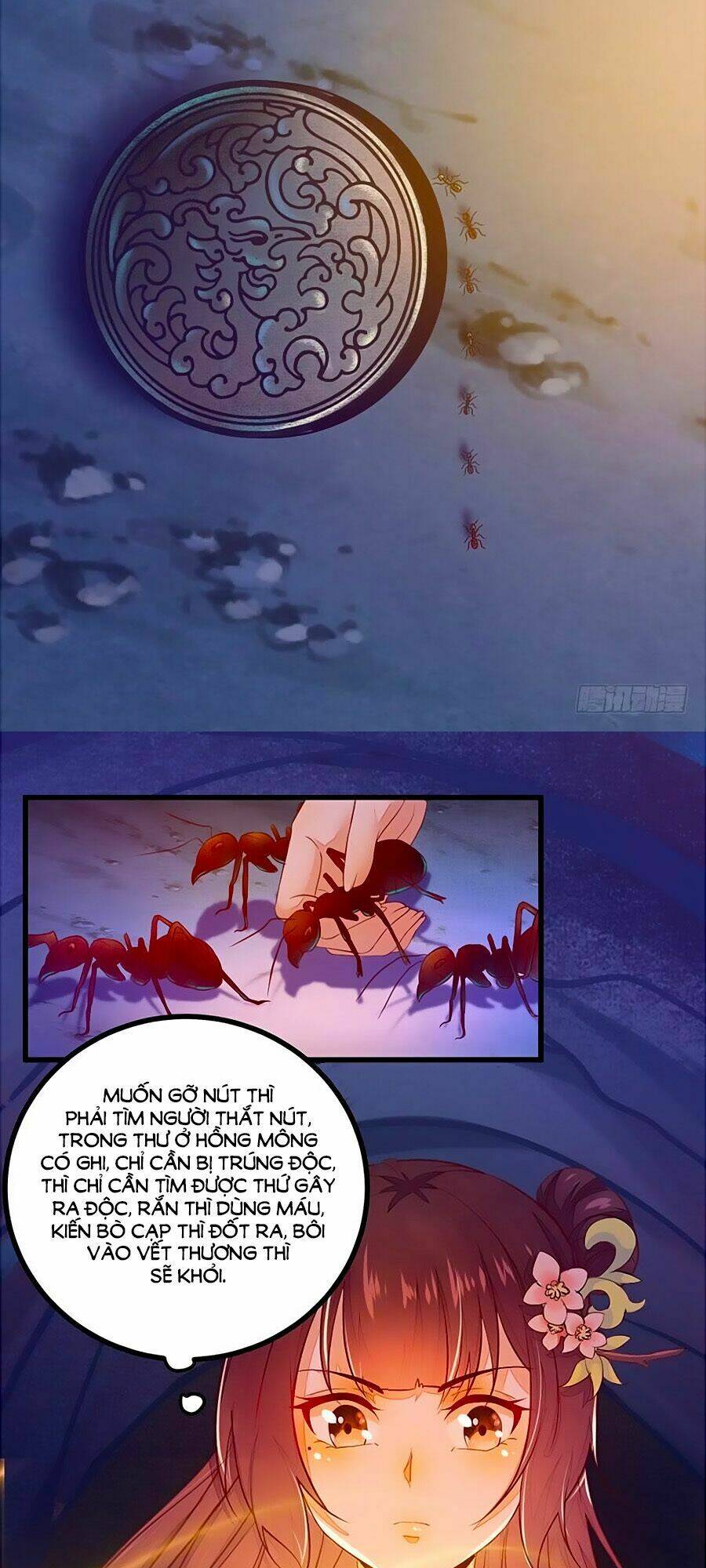 thần y khí nữ: ngự thú cuồng phi của quỷ đế chapter 33 5