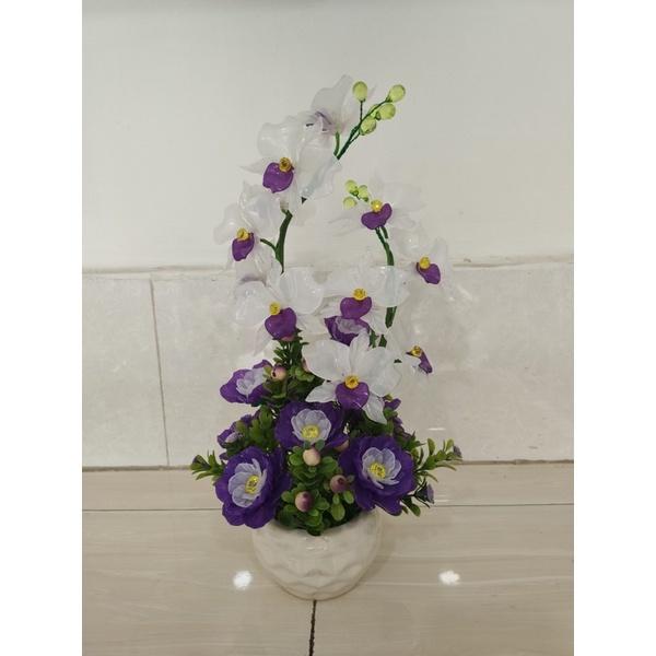 Chậu hoa lan cao 40cm ngang 20cm
