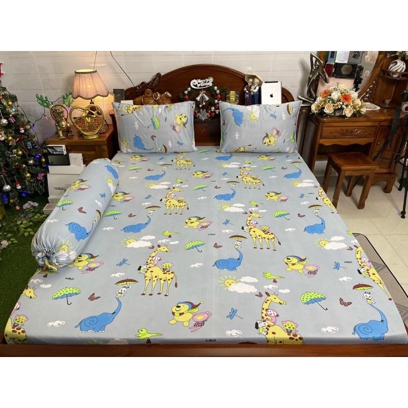 Drap thun hàn quốc
