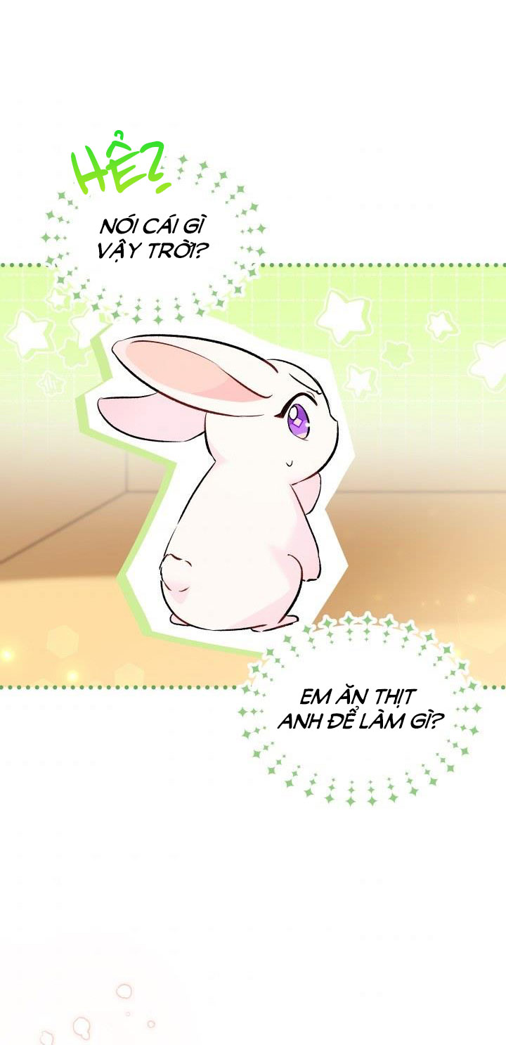 mối liên kết giữa báo đen và bé thỏ chapter 56 59
