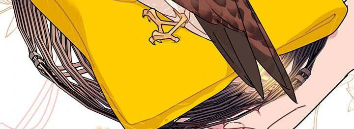 công chúa của loài chim chapter 51.1 223