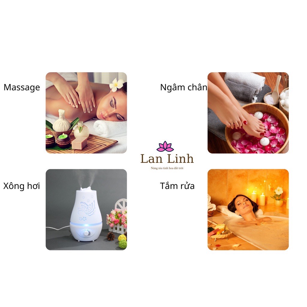 Tinh dầu thiên nhiên nguyên chất thơm lâu hương Mộc Hương cô đặc Lan Linh, khử mùi, xông thư giãn