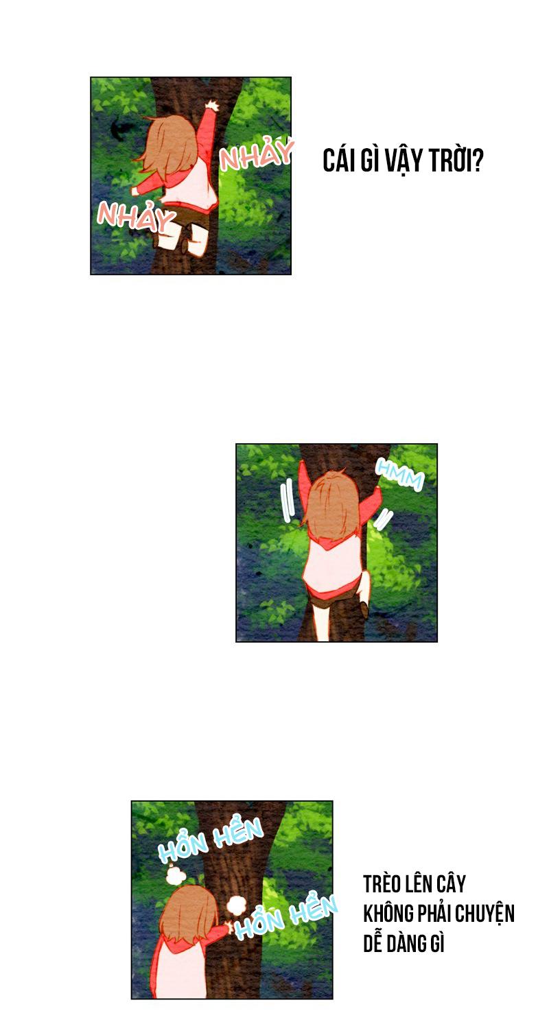 sao chép chapter 12 52