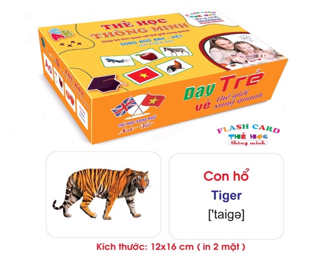 Đồ chơi thẻ học thông minh cho bé loại lớn 256 thẻ Flashcard Glenn doman