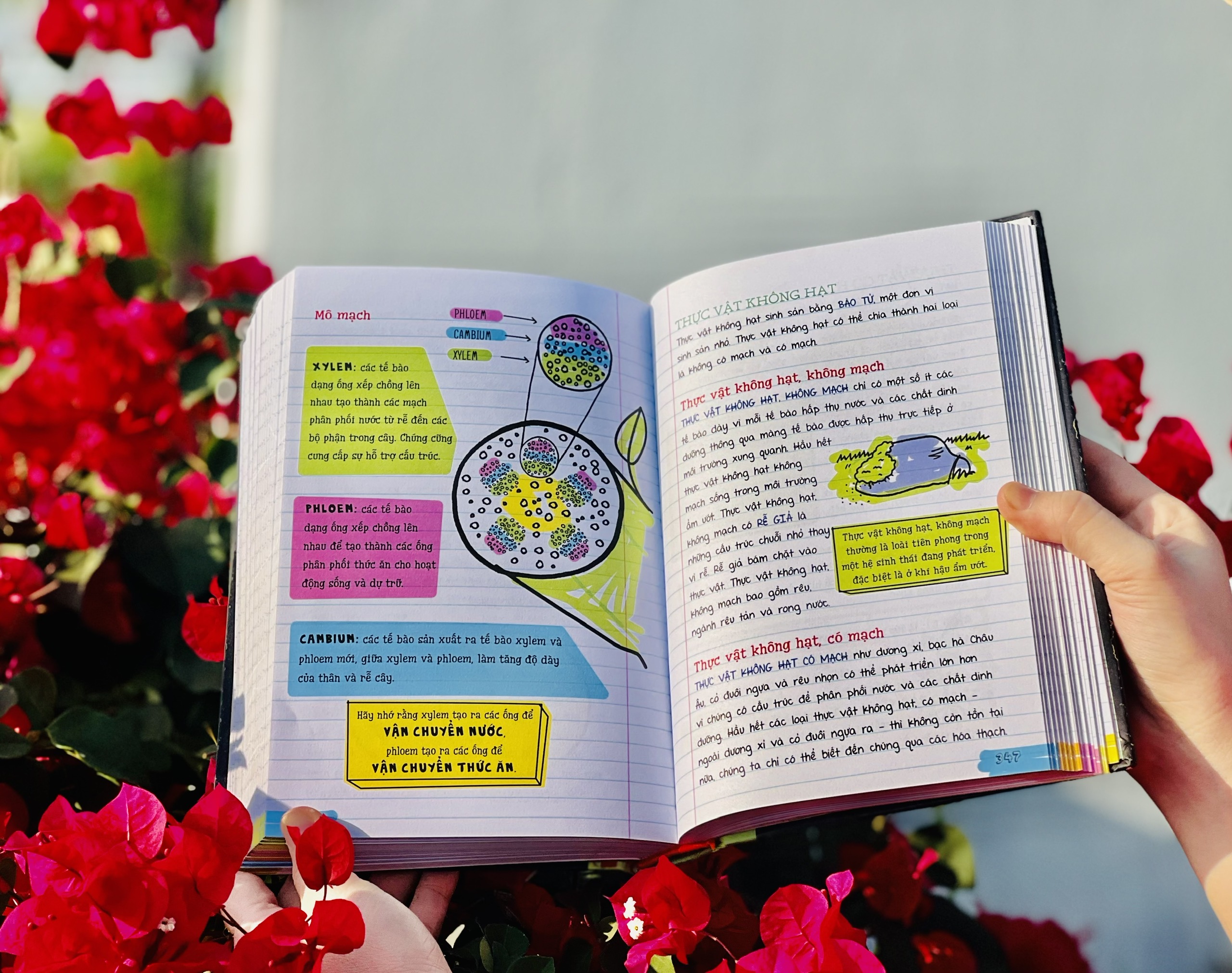 Sách Sổ Tay Khoa Học - Tổng Hợp Kiến Thức Khoa Học Từ Lớp 4 Đến Lớp 9 - Á Châu Books, Bìa Cứng, In Màu