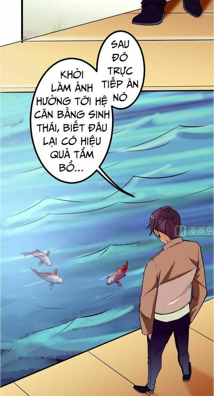 ngưu thư cung ứng thương chapter 69 5