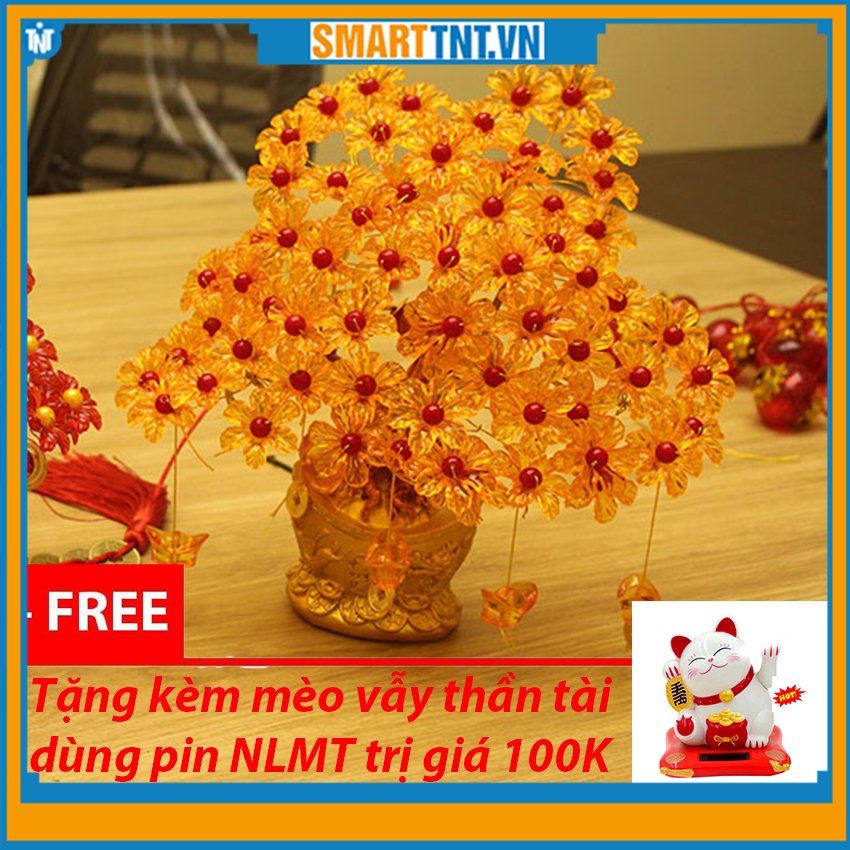 Combo cây kim tiền phát tài phát lộc đế thỏi vàng tặng mèo vẫy thần tài