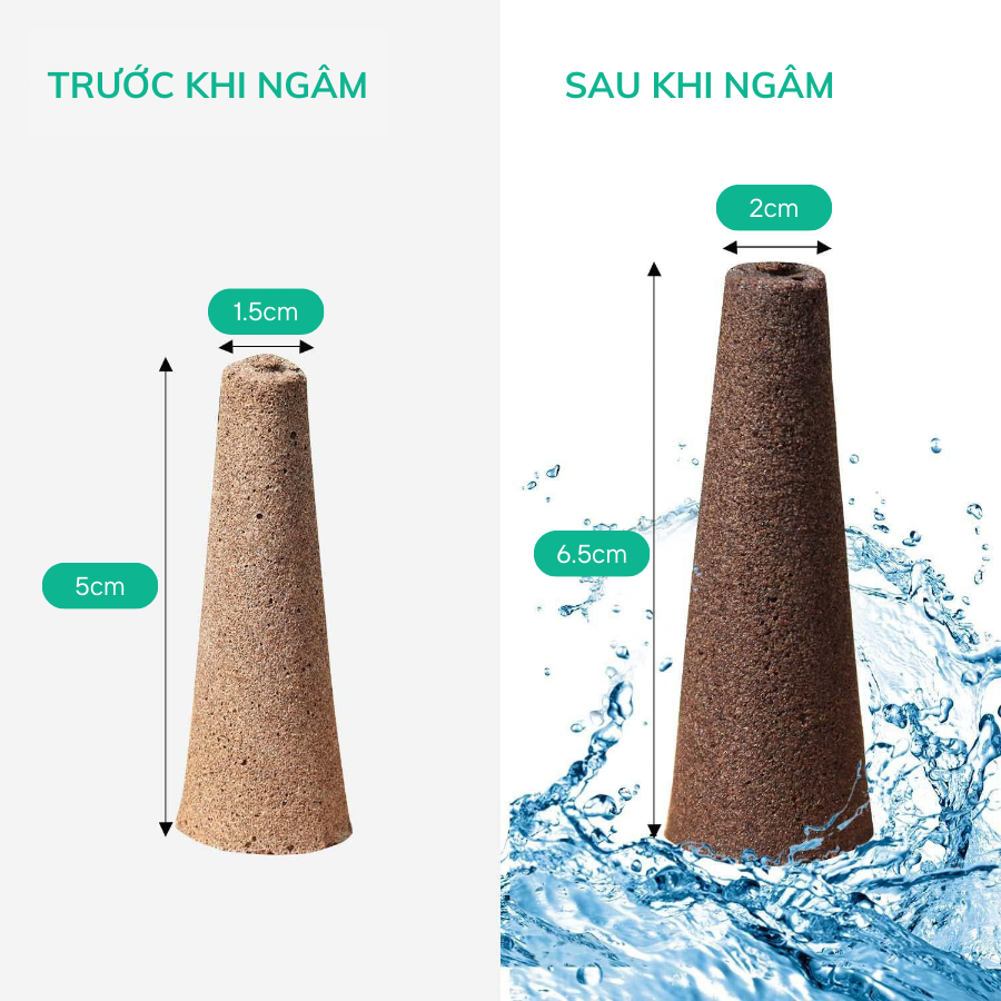 Viên trụ ươm mầm hạt giống thủy canh MONROVIA đầy đủ chất dinh dưỡng, tỉ lệ nảy mầm cao
