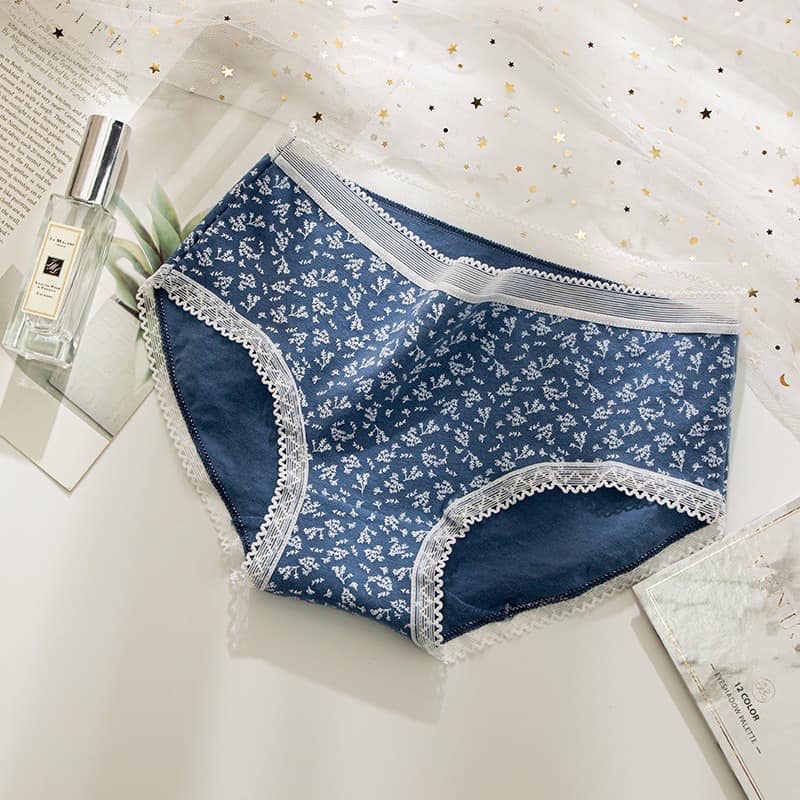 LỐ 10 QUẦN LÓT COTTON HỌA TIẾT CHẤT SIÊU THOÁNG MÃ 0742