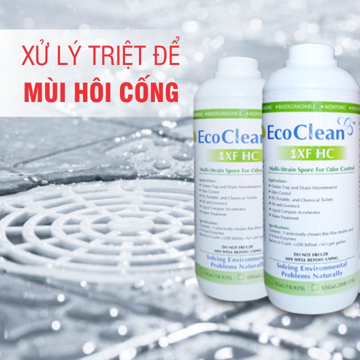 EcoClean FRESH - Vi Sinh Khử Mùi Hôi Cống, Lỗ Sàn, Đường Ống USA - Xử lý gốc rễ mùi hôi, an toàn tuyệt đối - Chai 1L