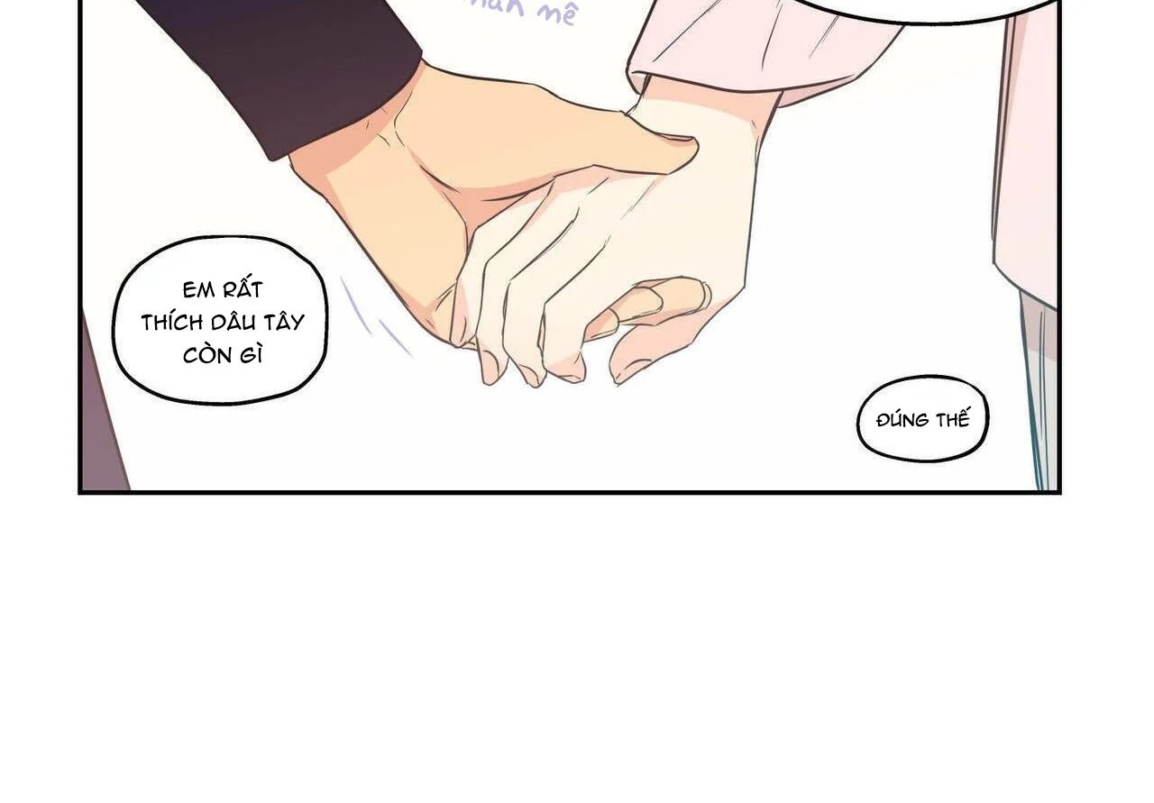 không chốn yêu đương chapter 81 98